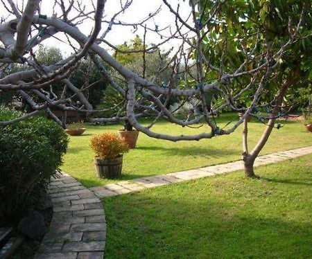 Villa Chiarenza Maison D'Hotes Giardini Naxos Exteriér fotografie