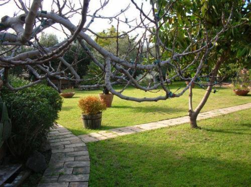Villa Chiarenza Maison D'Hotes Giardini Naxos Exteriér fotografie